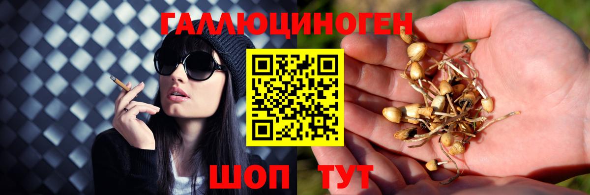 Галлюциногенные грибы GOLDEN TEACHER Волжский